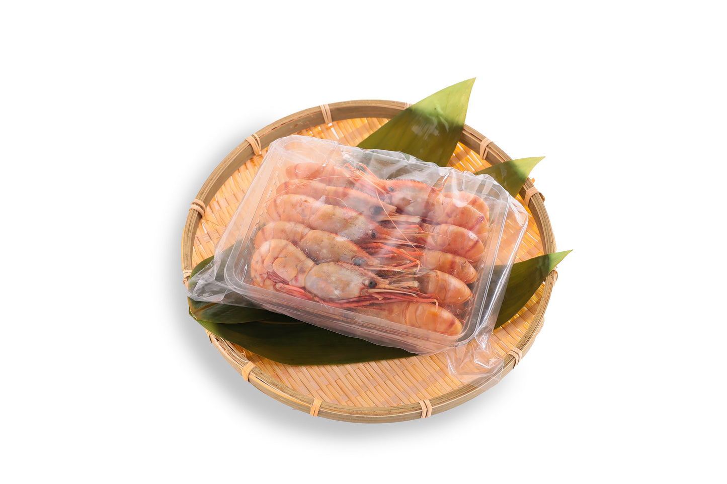 天然ボタンエビ