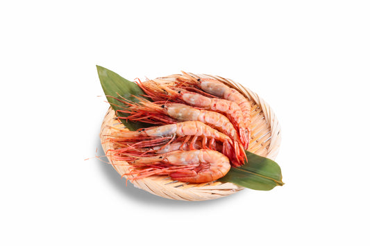 天然ボタンエビ